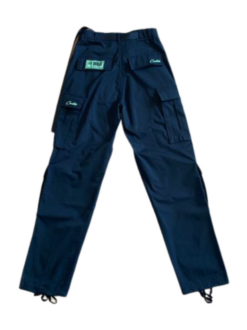 Alternative view of CARGO-GREEN